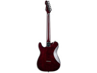 ESP LTD TE-200 TSB ESP LTD TE-200 TSB